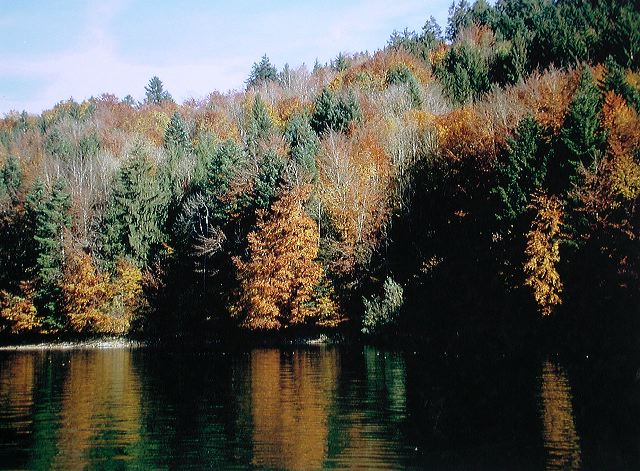 dscn2095.jpg
