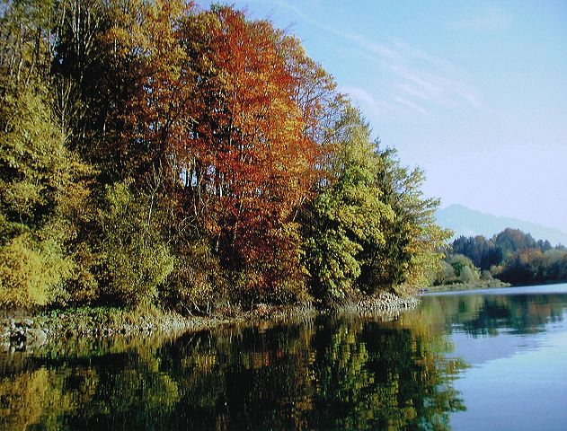 dscn2113.jpg