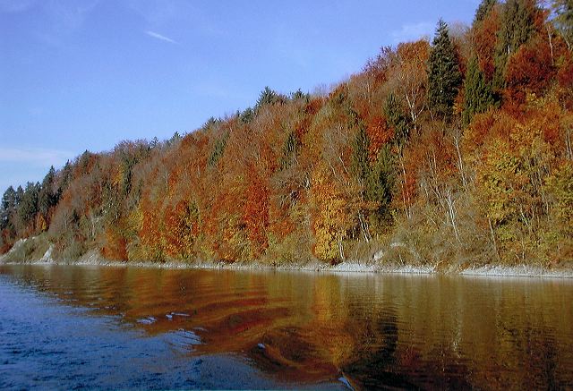 dscn2117.jpg