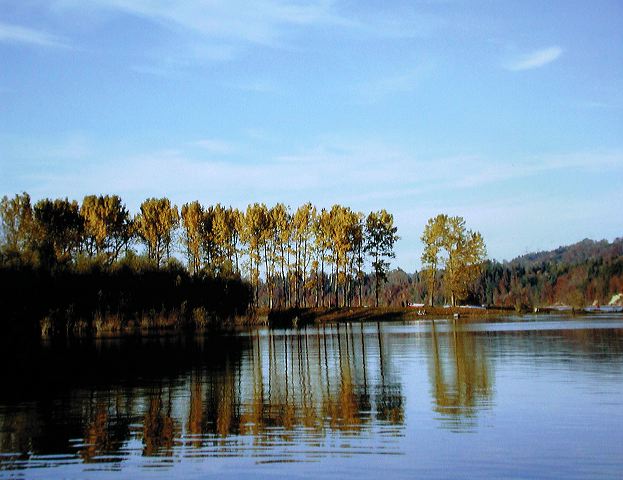 dscn2131.jpg