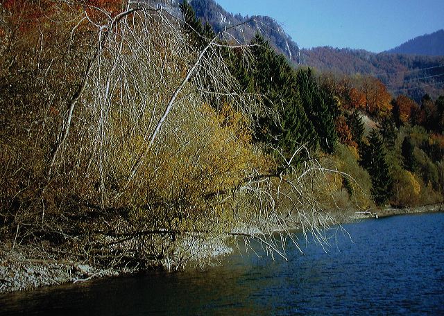 dscn2135.jpg