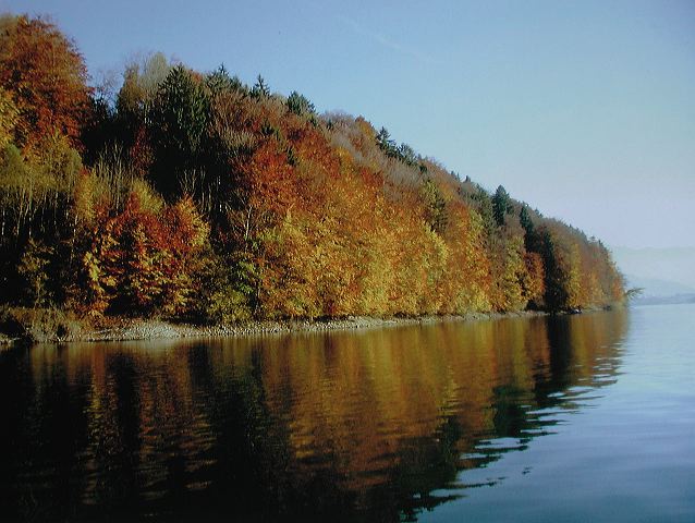 dscn2140.jpg