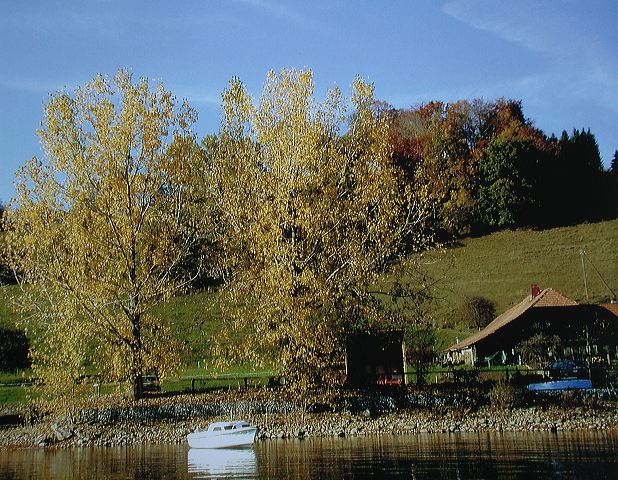 dscn2150.jpg