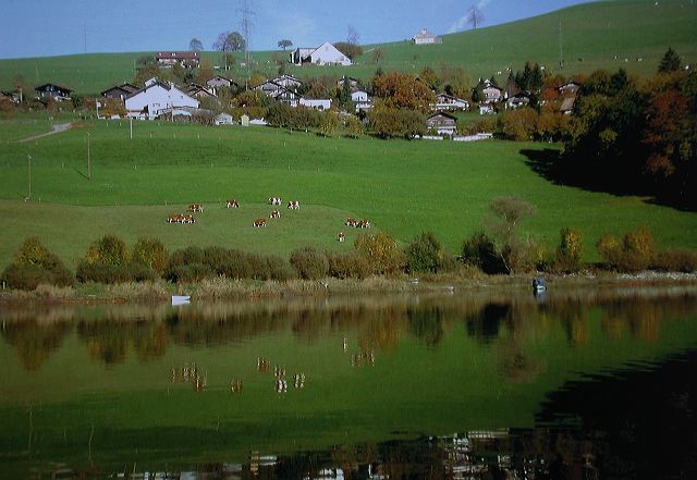 dscn2156.jpg
