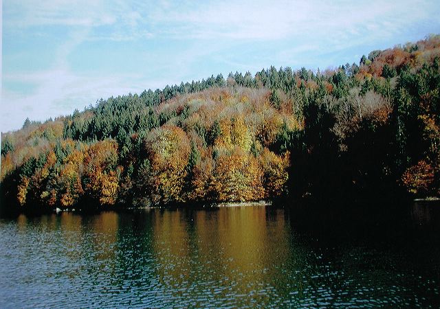 dscn2165.jpg