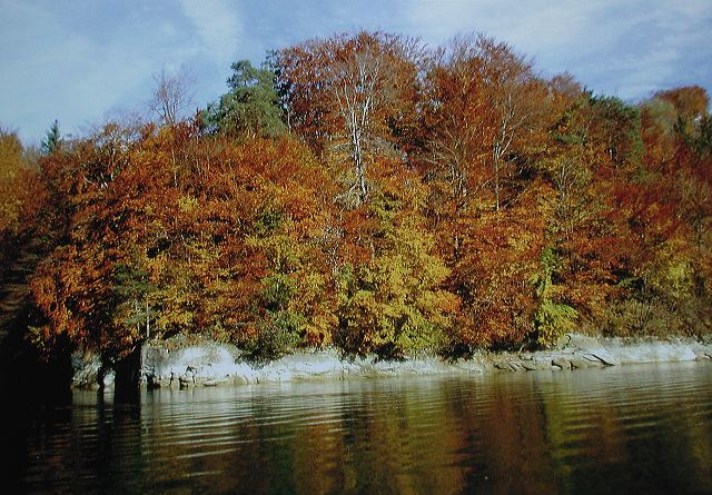 dscn2169.jpg