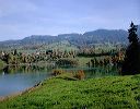 dscn2184